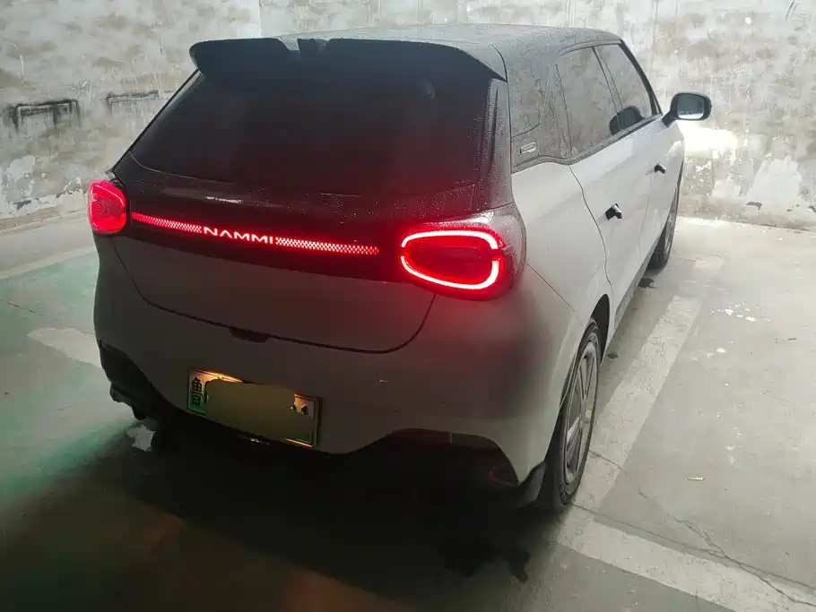 Dongfeng Nano 01 2025
