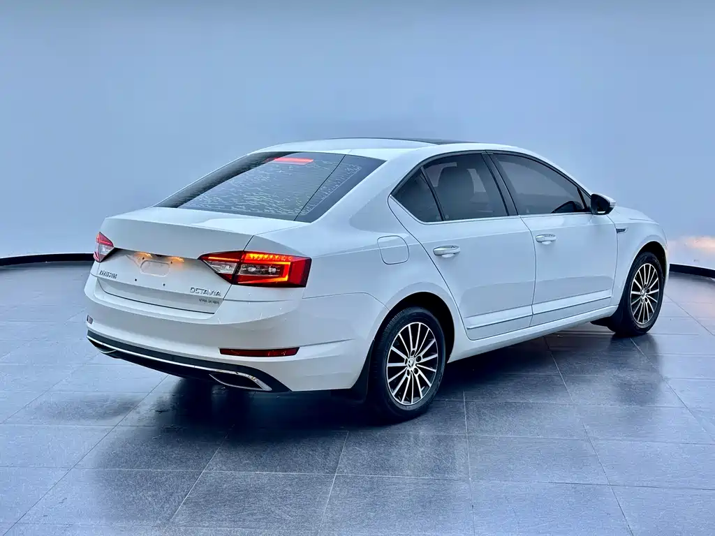Skoda Octavia 2019 — фото 18