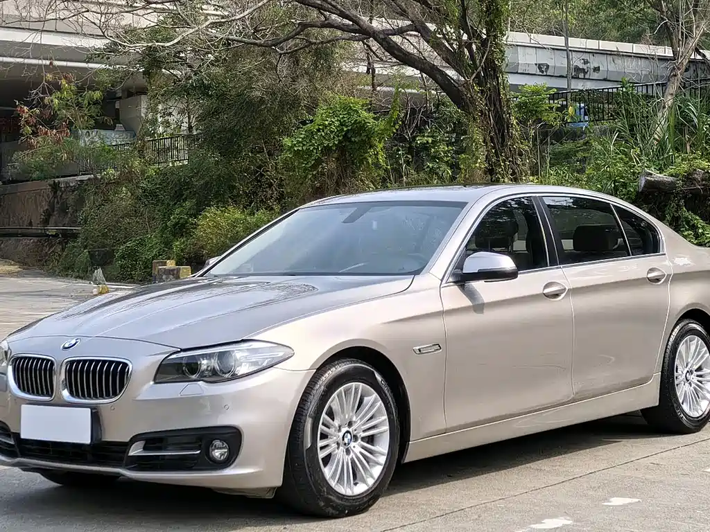 BMW 5 Series 2015 — фото 1