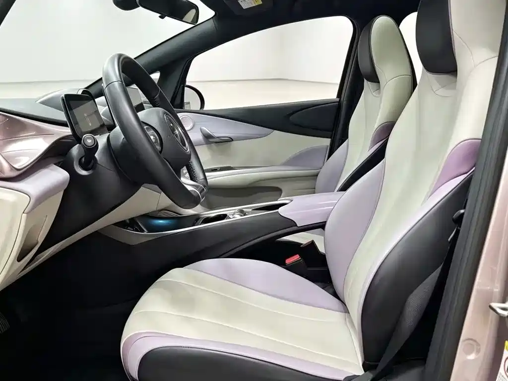 BYD Dolphin 2022