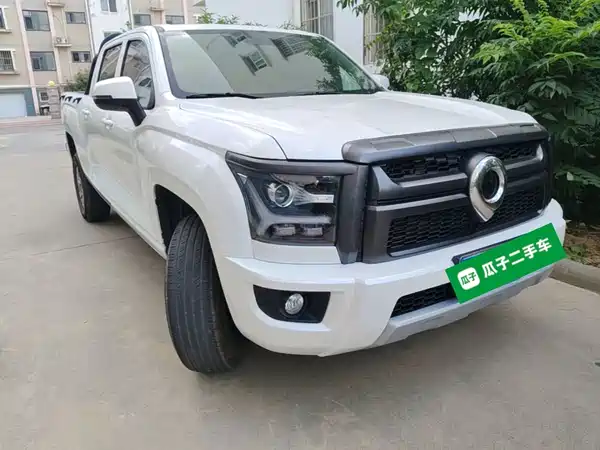Great Wall King Kong Cannon 2024