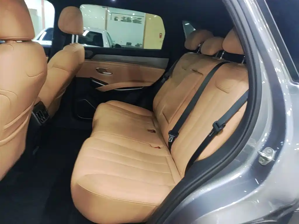 BYD L DM-i 2025 — фото 17