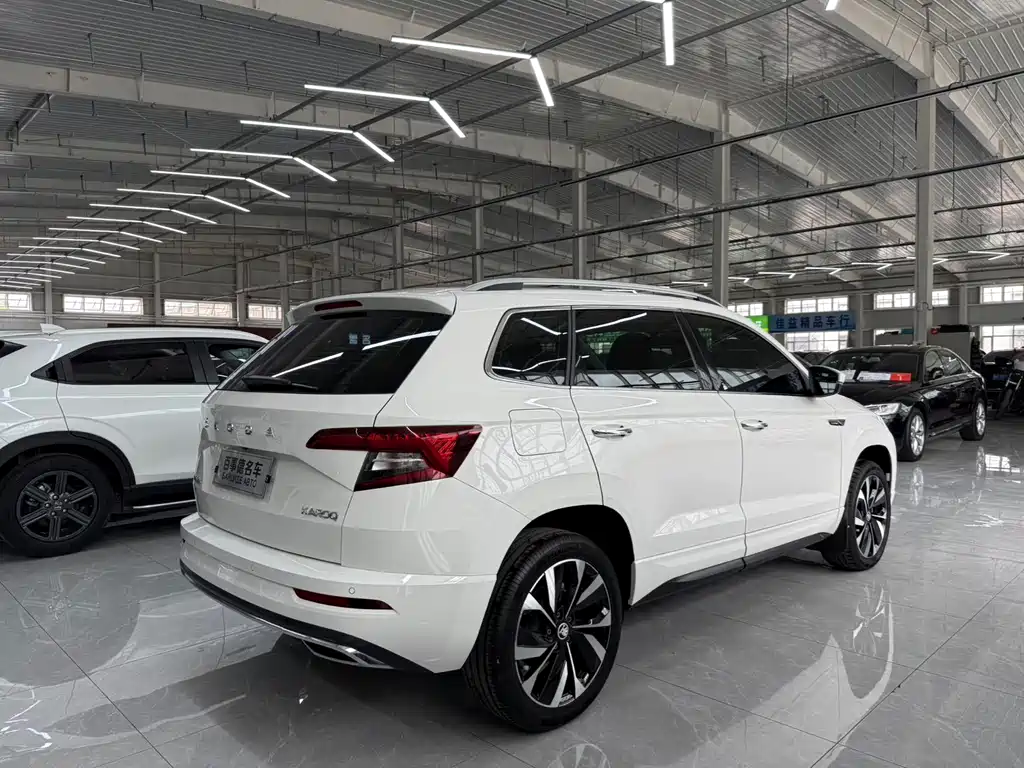 Skoda Karoq 2022 — фото 9