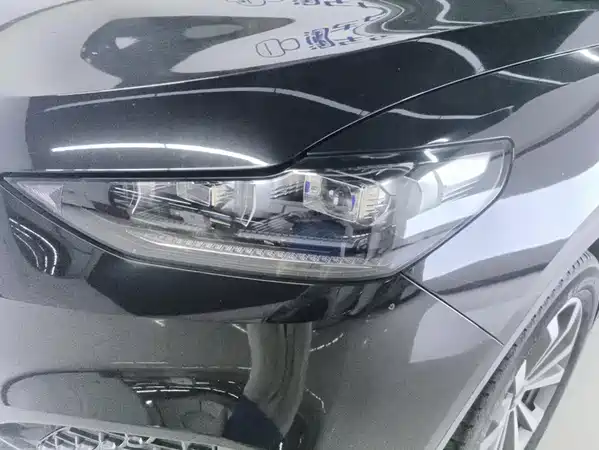 Wey VV6 2019