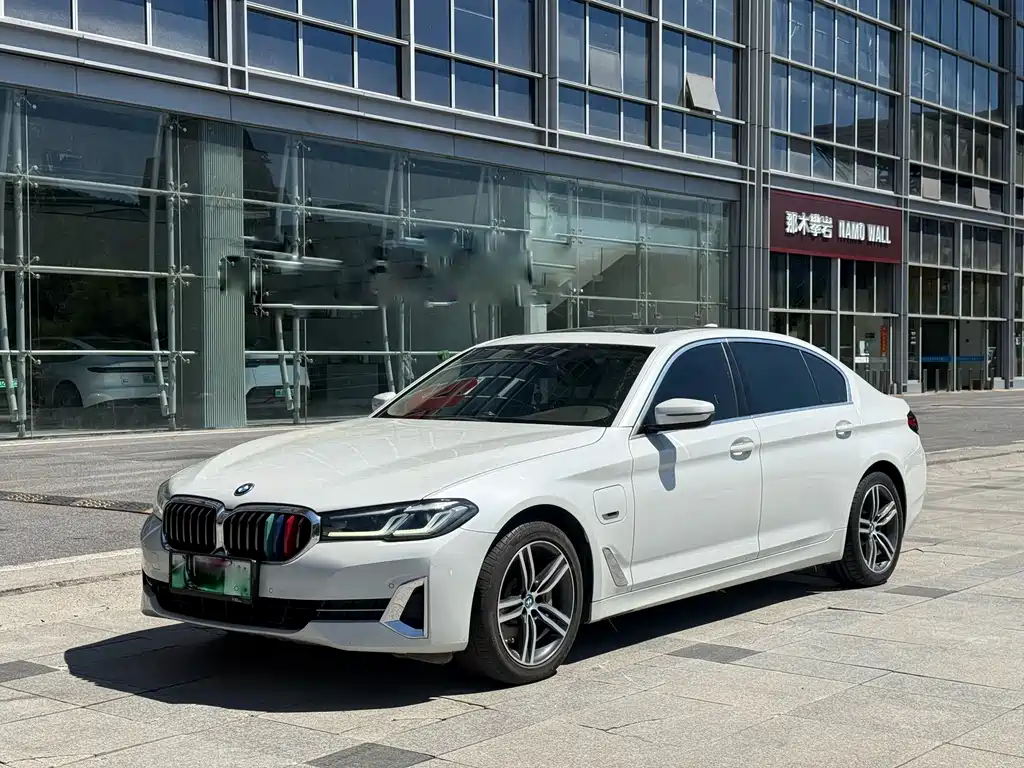 BMW 5 Series New Energy 2021