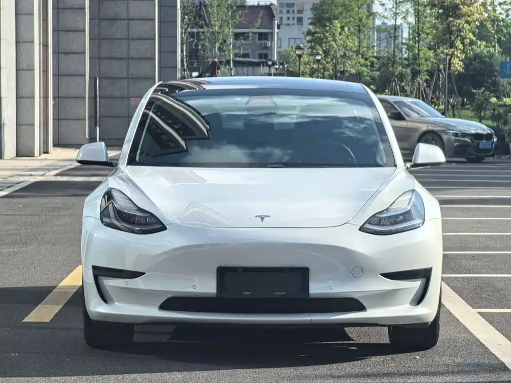 Tesla Model 3 2020 — фото 2