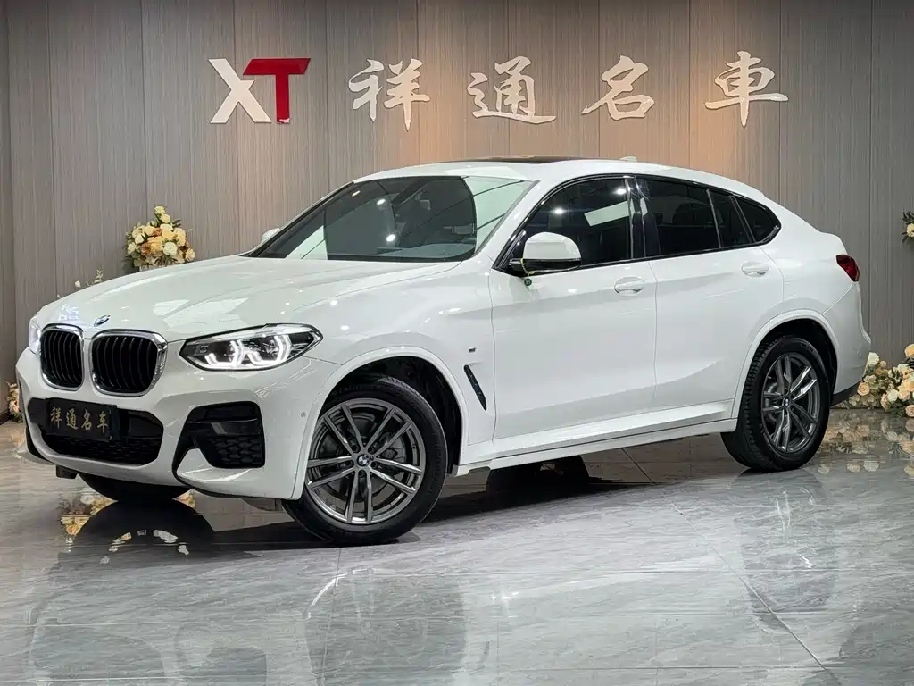 BMW X4 2019 — фото 1