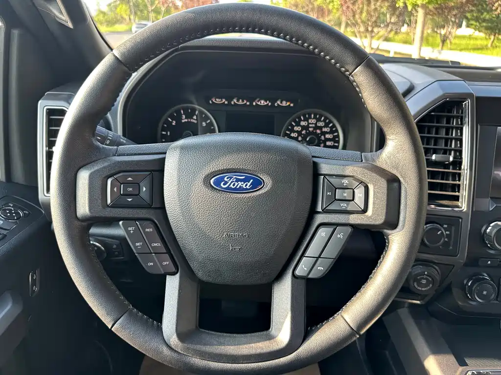 Ford F-150 Raptor 2019 — фото 15