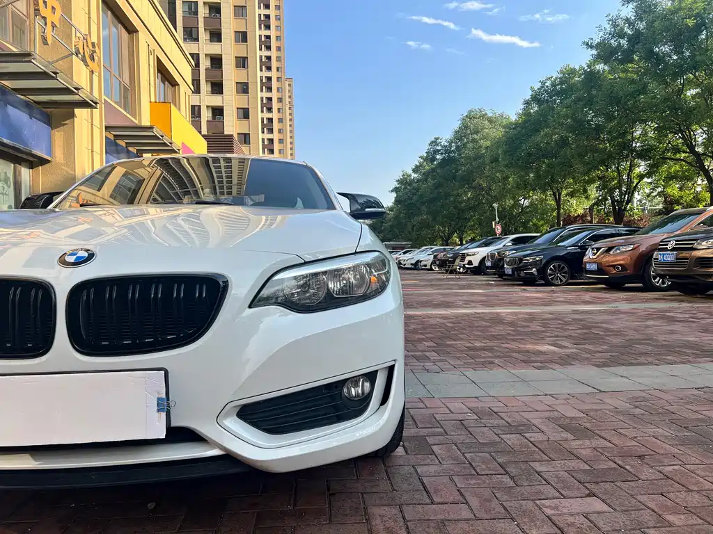 BMW 2 Series 2017 — фото 15