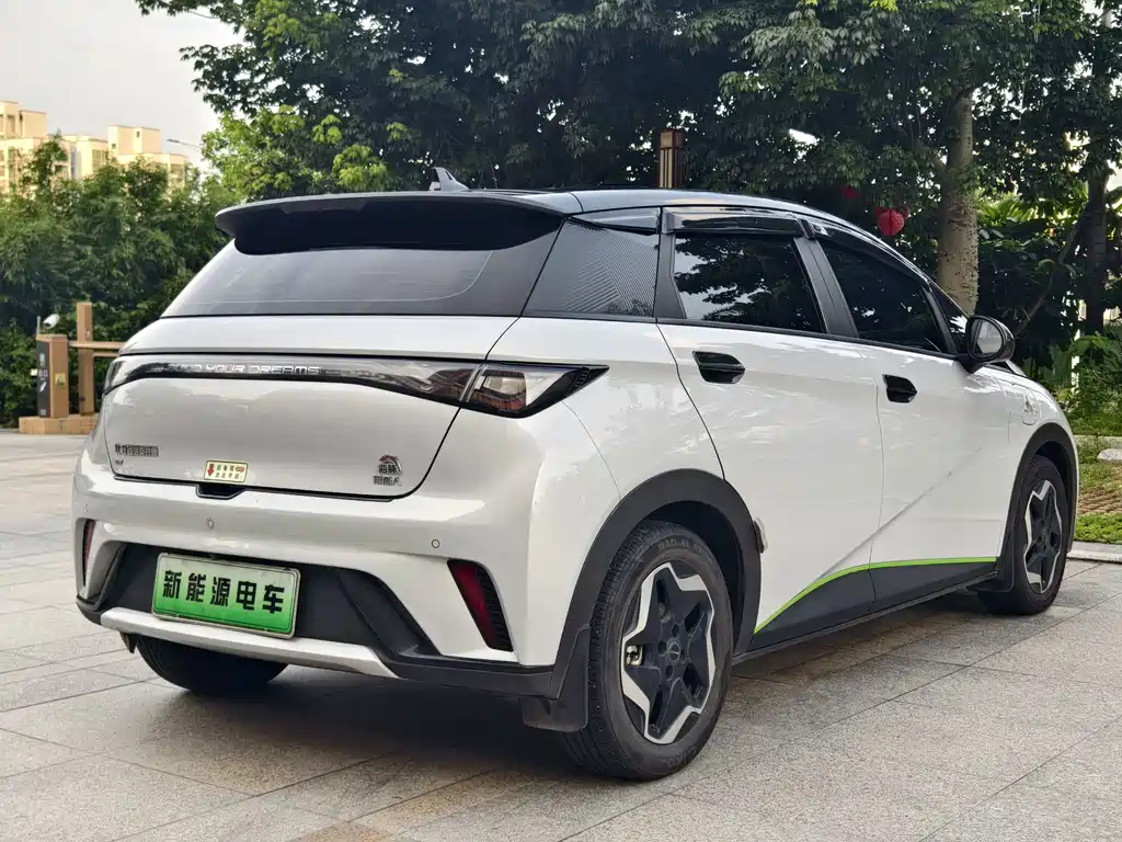 BYD Dolphin 2022