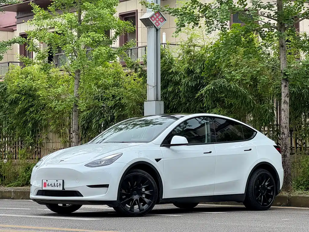 Tesla Model Y 2021 — фото 15