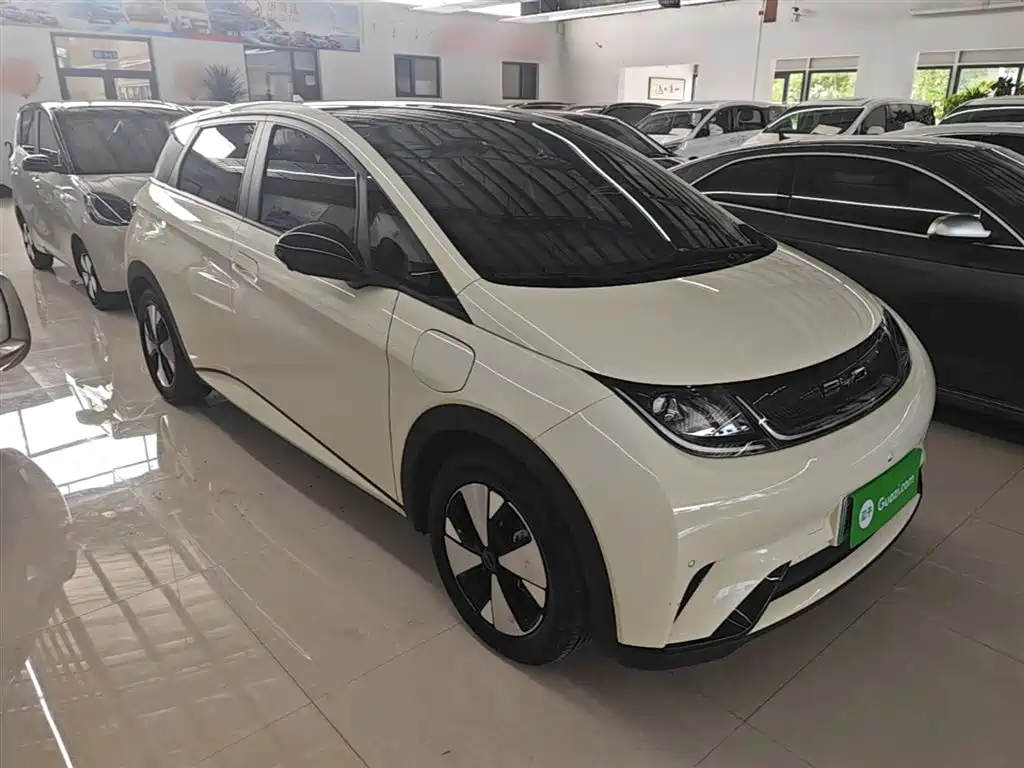 BYD Dolphin 2023 — фото 4