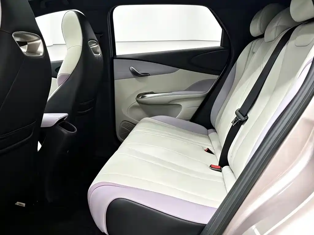 BYD Dolphin 2022