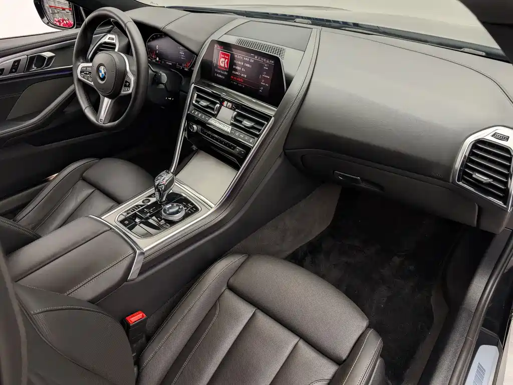 BMW 8 Series 2020 — фото 15