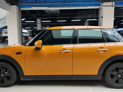 MINI MINI 2015