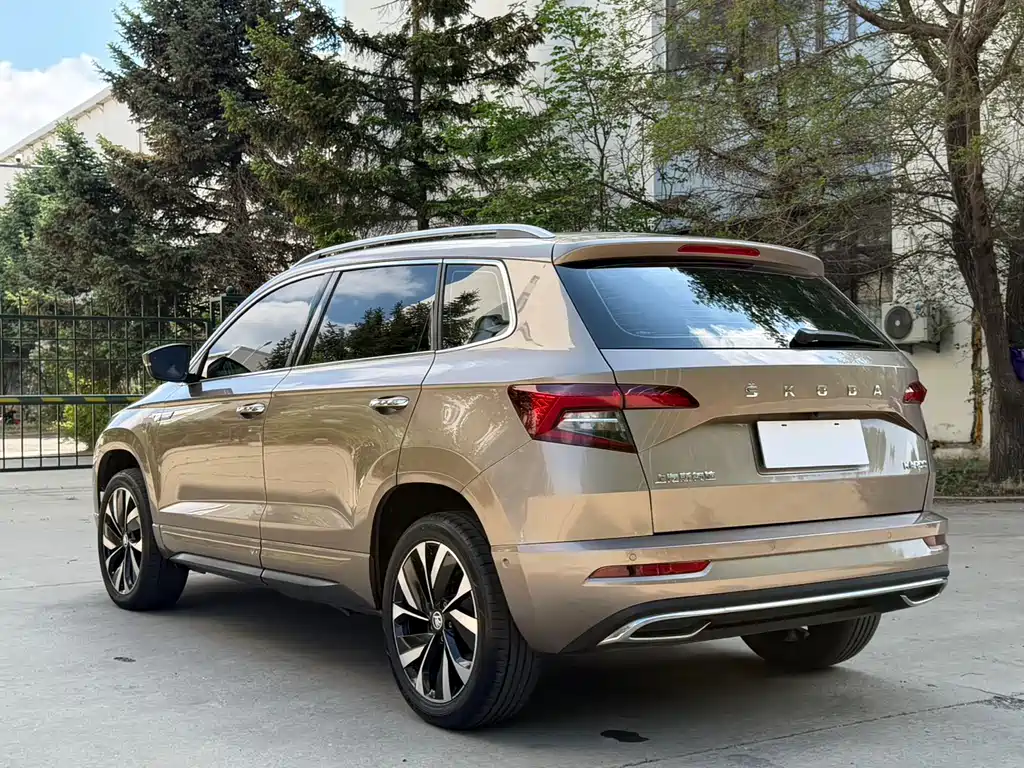 Skoda Karoq 2022 — фото 7