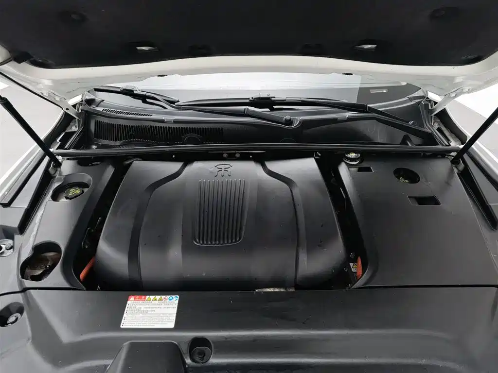BYD New Energy 2018