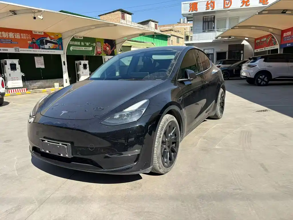 Tesla Model Y 2021 — фото 1