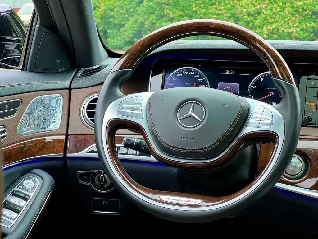 Mercedes-Benz S-Class 2016 — фото 17