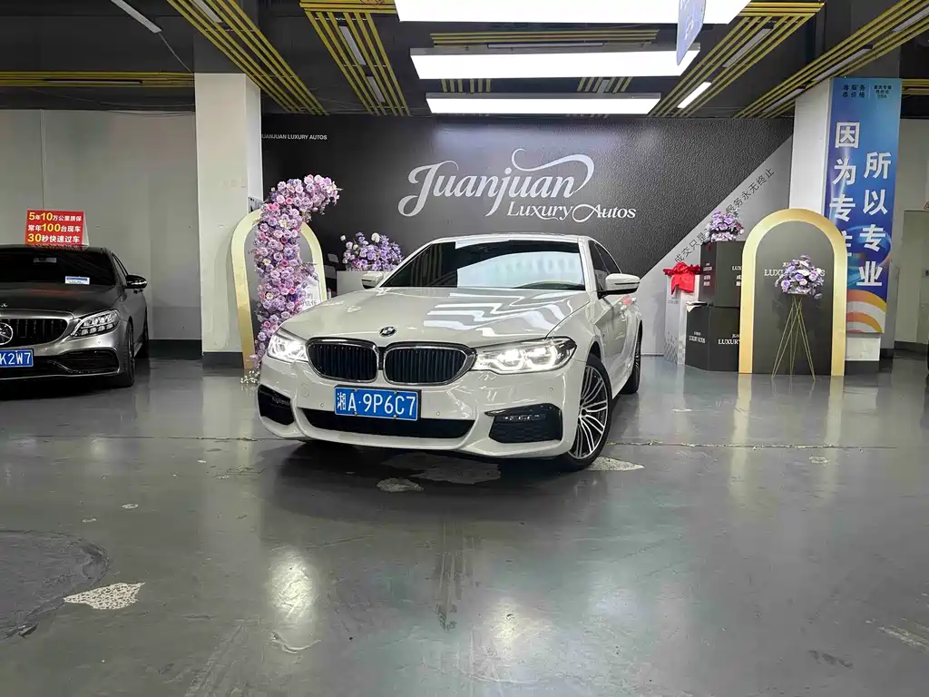 BMW 5 Series 2019