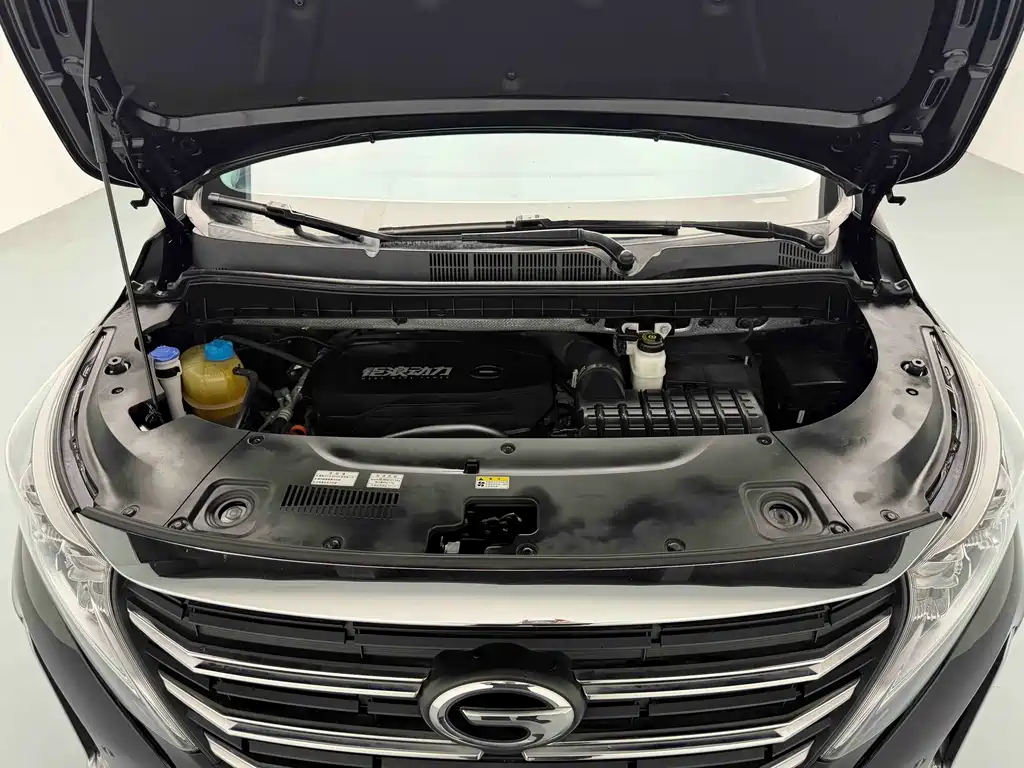 GAC Motor Trumpchi M8 2021 — фото 16