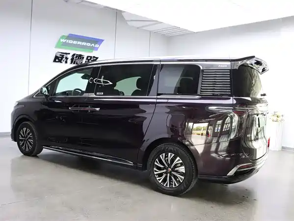 Hongqi HQ9 PHEV 2024