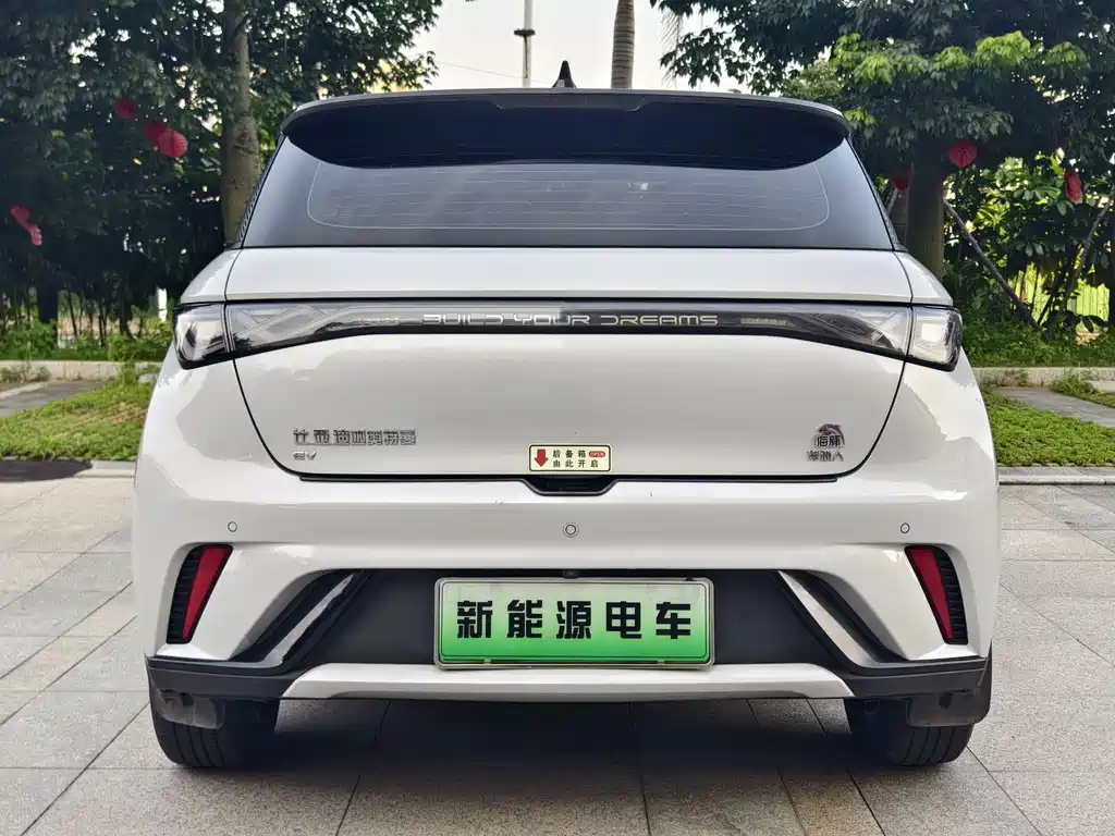 BYD Dolphin 2022