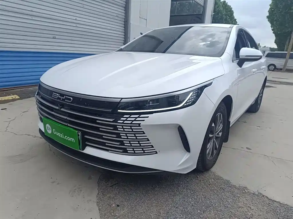 BYD Destroyer 05 2023 — фото 1