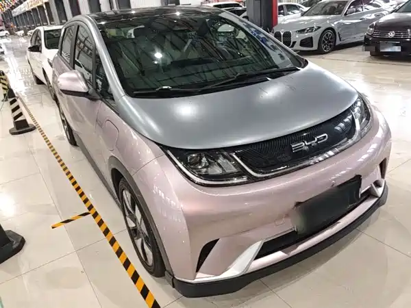 BYD Dolphin 2021