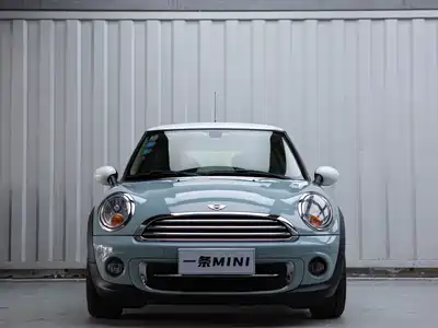 MINI MINI 2013