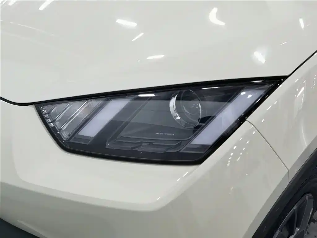 BYD Seagull 2024
