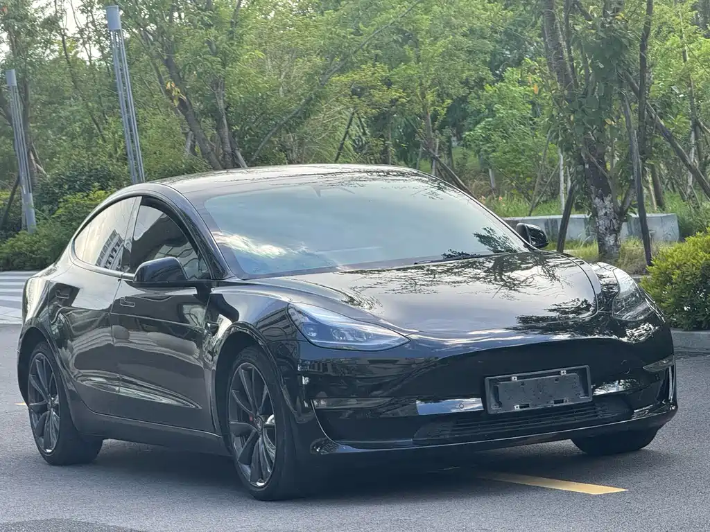 Tesla Model 3 2021 — фото 2