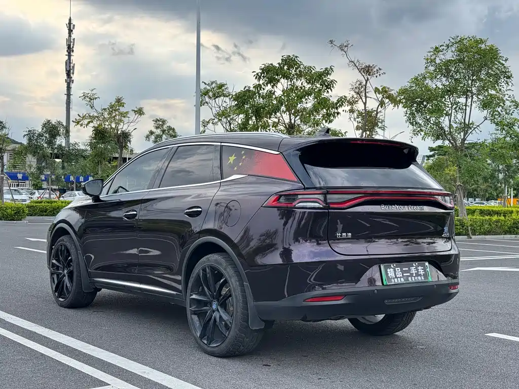 BYD Tang New Energy 2019 — фото 7