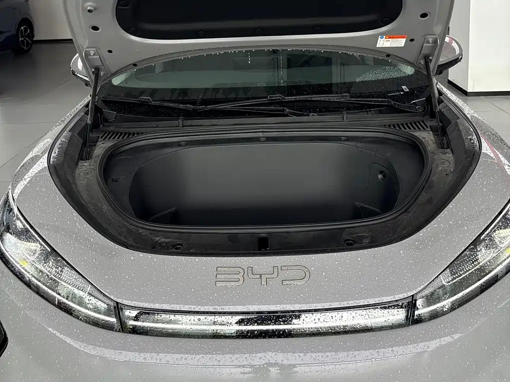BYD Sealion 05 EV 2025 — фото 12