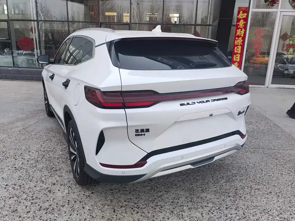 BYD PLUS New Energy 2024 — фото 9