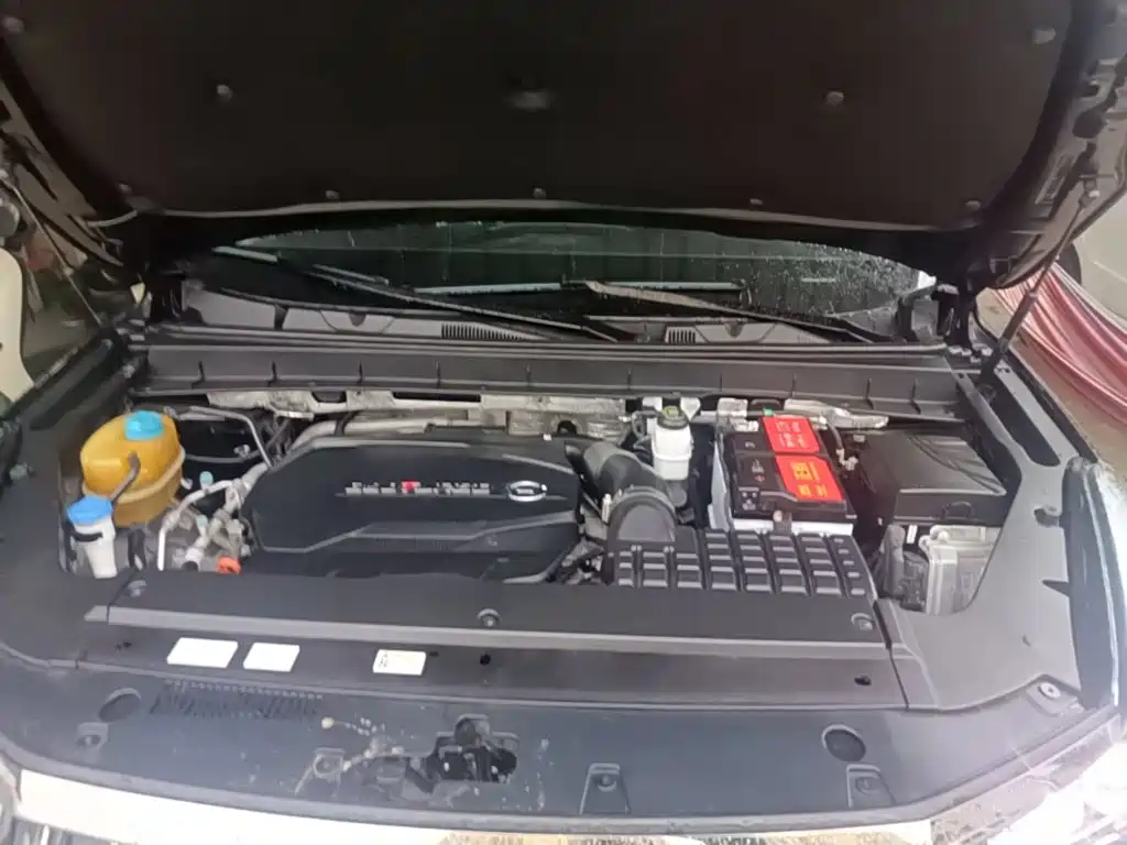GAC Trumpchi GS8 2020 — фото 17
