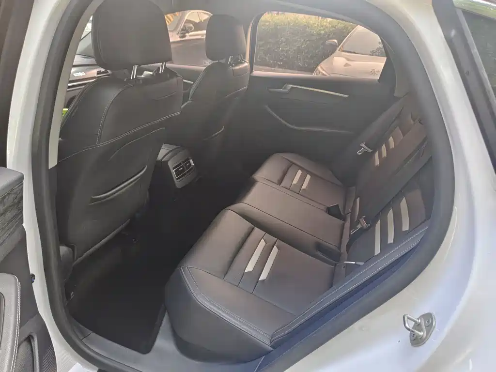 BYD Qin Pro NEV 2018 — фото 9