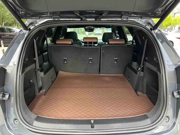 BYD Tang New Energy 2022