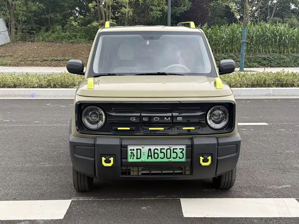 Galaxy Panda 2025