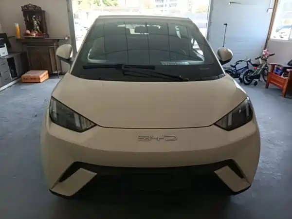 BYD Seagull 2024