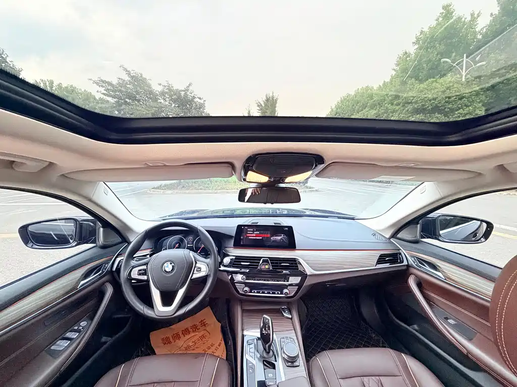 BMW 5 Series New Energy 2019