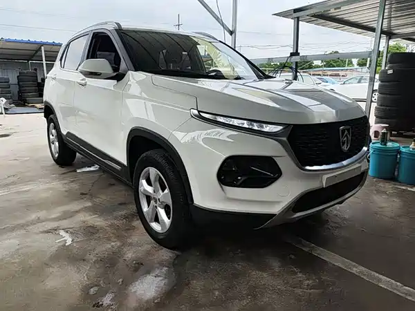 Baojun 510 2019