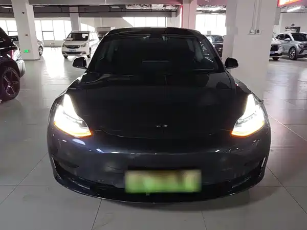Tesla Model 3 2019