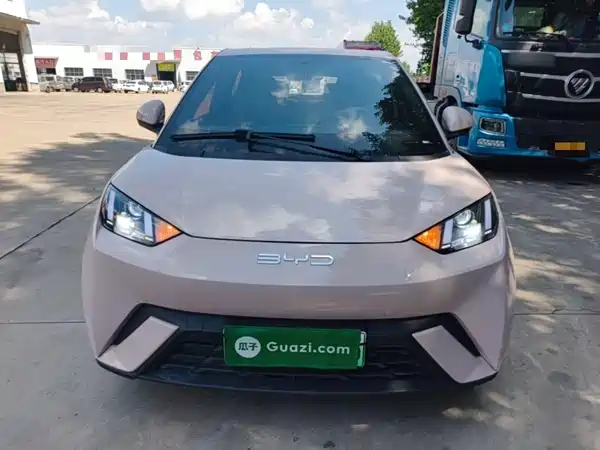 BYD Seagull 2024
