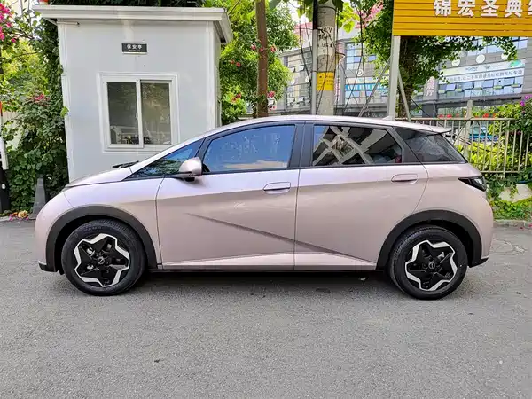 BYD Dolphin 2021