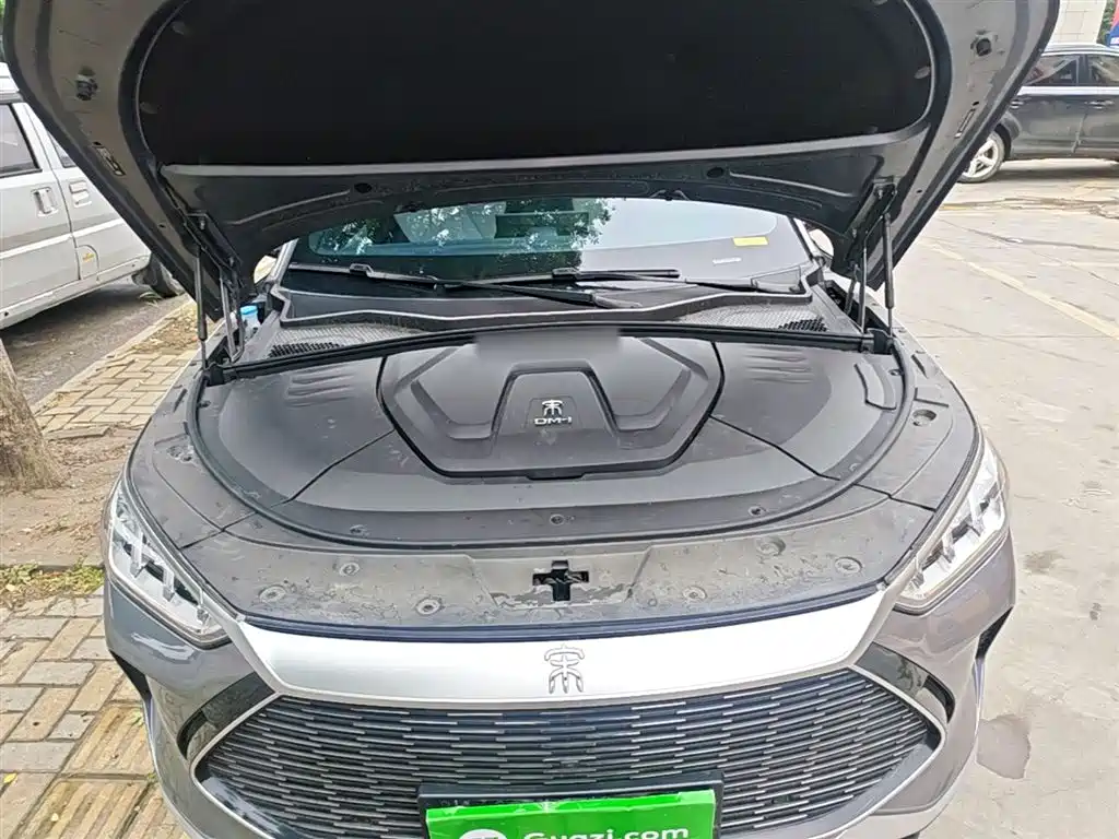BYD PLUS New Energy 2023 — фото 20
