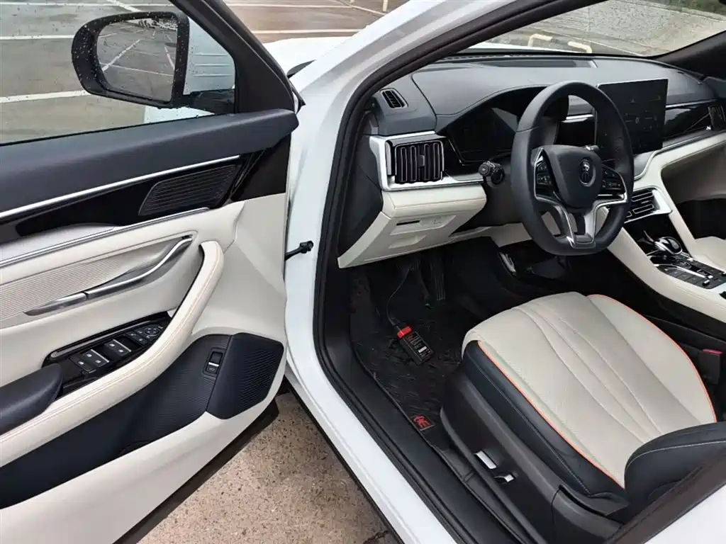 BYD PLUS New Energy 2022 — фото 16