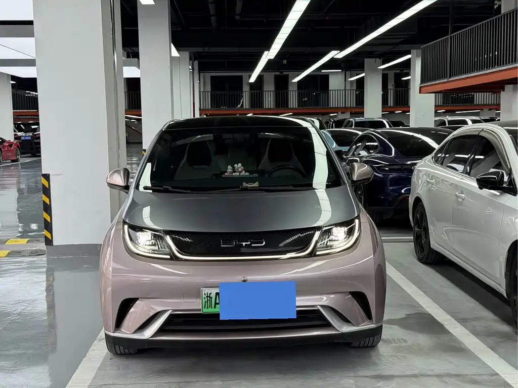 BYD Dolphin 2022