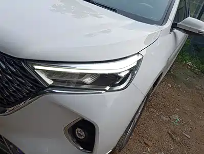 Haval M6 2021