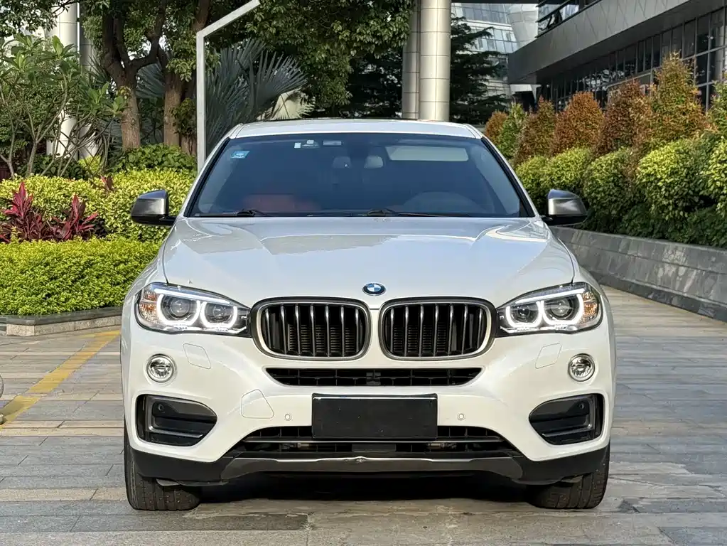 BMW X6 2016 — фото 2